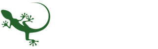 Gecko Sports Equipment NZ, Gecko Sports Equipment Auckland